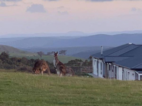 Rooks Edge Gisborne
